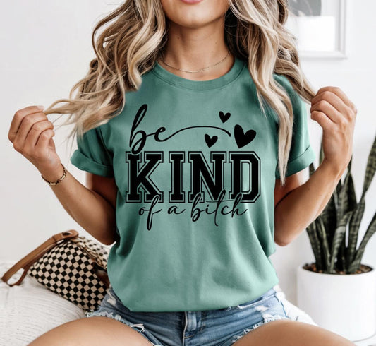 Be Kind Of A Bitch Adult Humor Graphic Tee